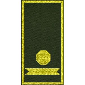 Patch Ricamata N.O.E.T.A.A.  (coordinatore provinciale ) su base verde 