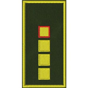 Patch Ricamata N.O.E.T.A.A.  (Vice coordinatore provinciale ) su base verde  cm. 8 x 4 C