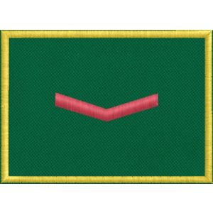 Mostrina G.A.D.I.T. 1 RIGA ROSSA mm.70 x 50 cod. Gad0001