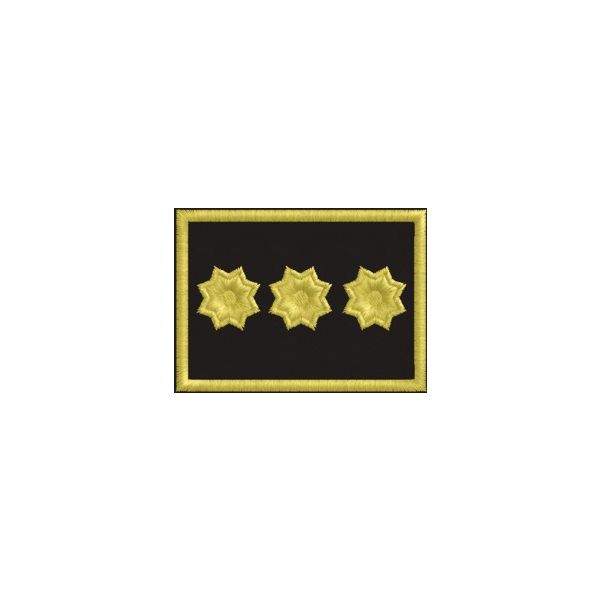 Cod. 0503_ funzionario_superiore 3 stelle