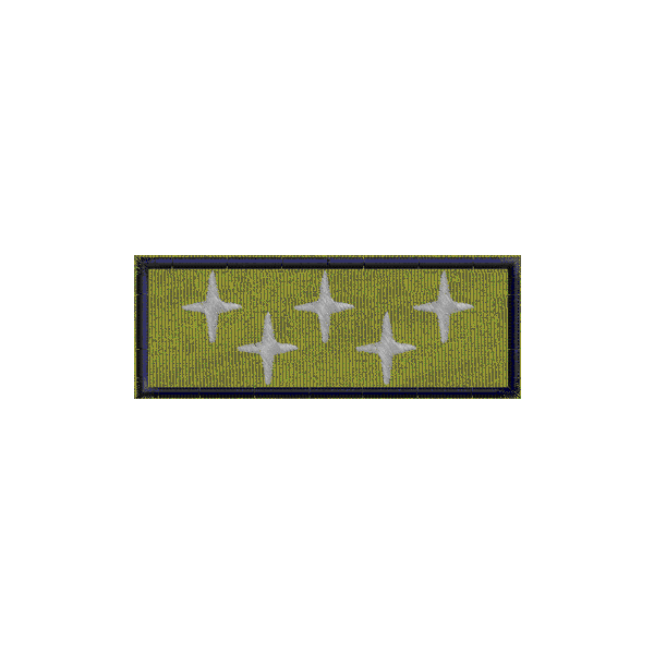 Patch personalizzato 5 stelle Presidente