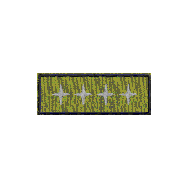 Patch personalizzato 4 stelle VicePresidente