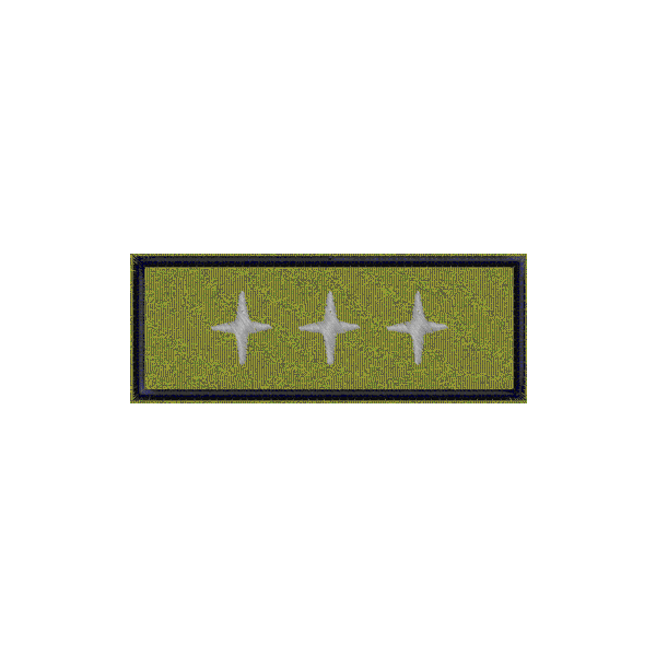 Patch personalizzato 3 stelle Segretario