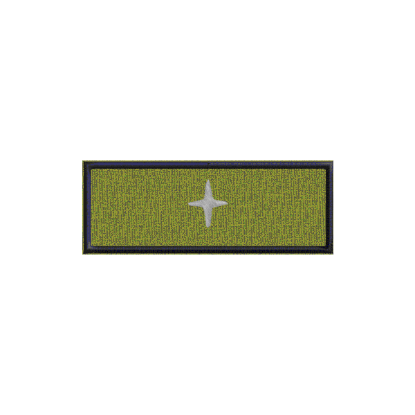 Patch personalizzato 1 stella Consigliere