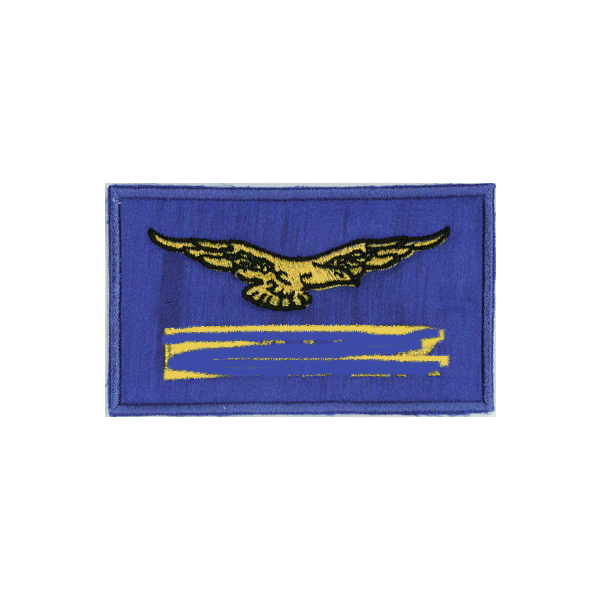 Distintivo tipo Aeronautica personalizzato con "LEADER"100715