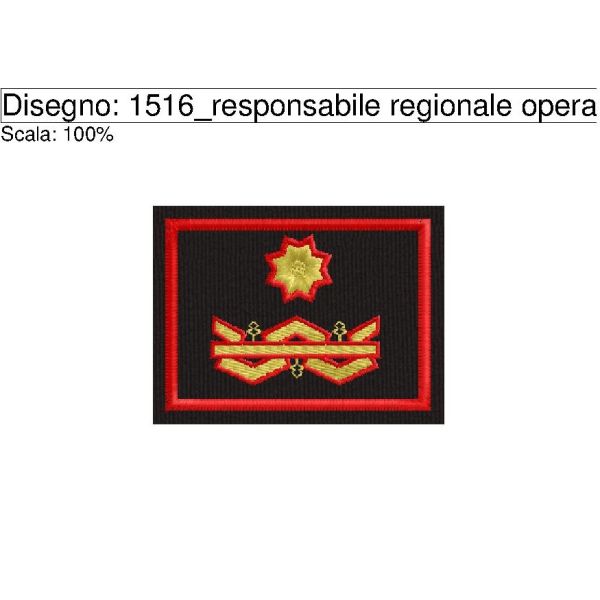 Cod. 1516_responsabile regionale operativo