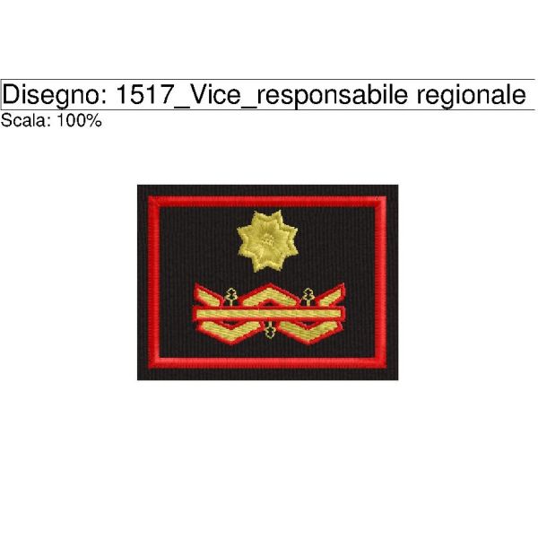 Cod. 1517_Vice_responsabile regionale operativo