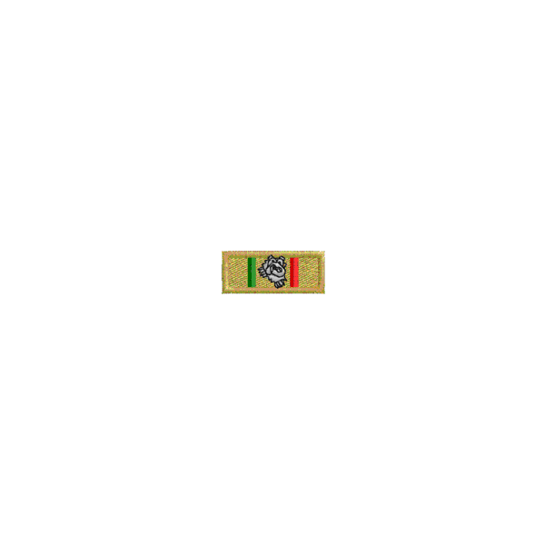 Patch personalizzato gradi da Partecipazione torneo con vittoria