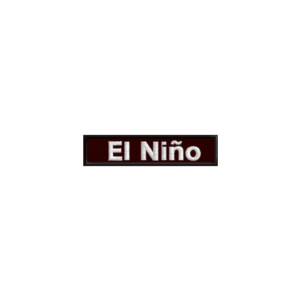 Etichetta nominativa ESEMPIO El Nino Cod.20091201_C