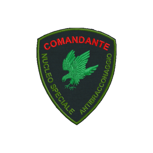Patch NUCLEO ANTIBRACCONAGGIO Comandante Cod.20100802_A_1