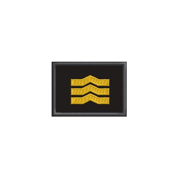 Patch ricamato 09. Grado AILCA – Coordinatore Superiore