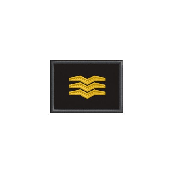 Patch ricamato 01. Grado AILCA – Guardia