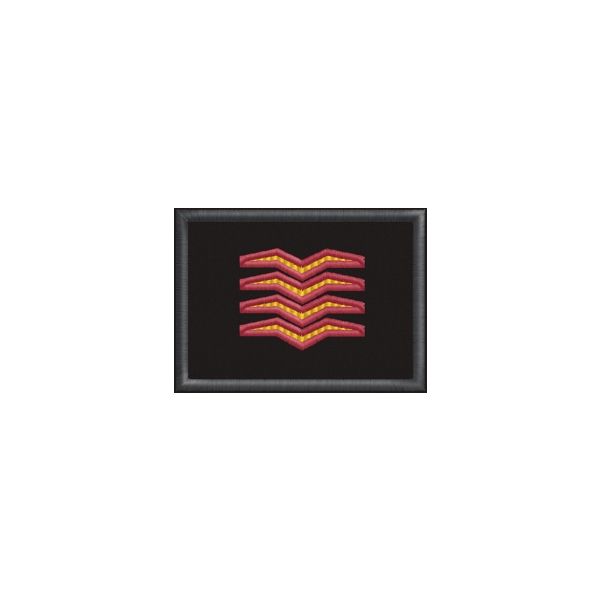 Patch ricamato 01. Grado AILCA – Guardia