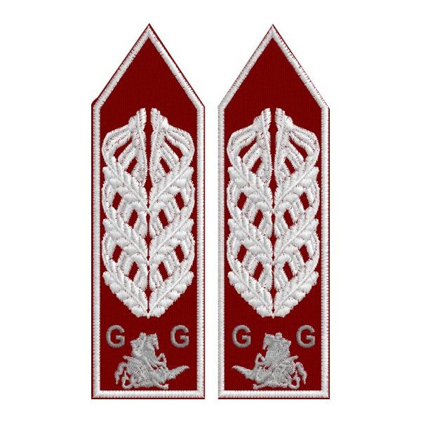 ALAMARI DIRIGENTI SAN GIORGIO mm.140 x 40 vendute in coppia
