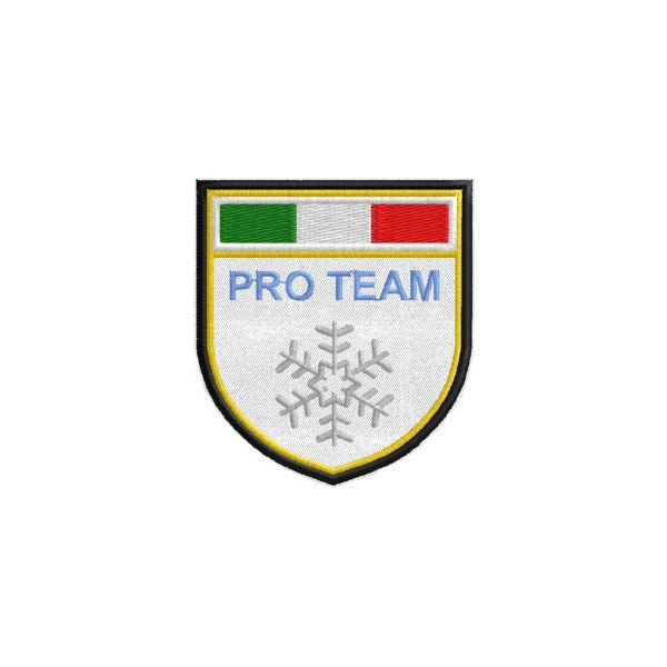 Stemma PRO TEAM Codice 20131002_A