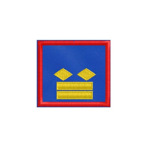 20150666_A Ispettore sostituto direttore (Demetra Group)