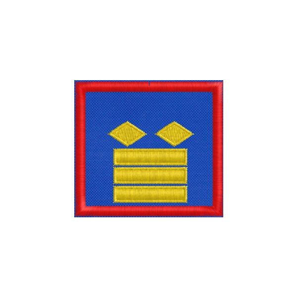 20150667_A Ispettore sostituto direttore CAPO (Demetra Group)