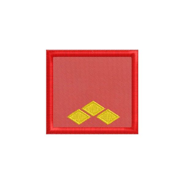 20150670_A Funzionario sostituto direttore ESPERTO (Demetra Group)