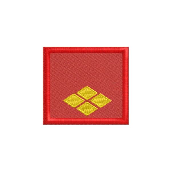 20150674_A Primo DIRIGENTE  (Demetra Group)