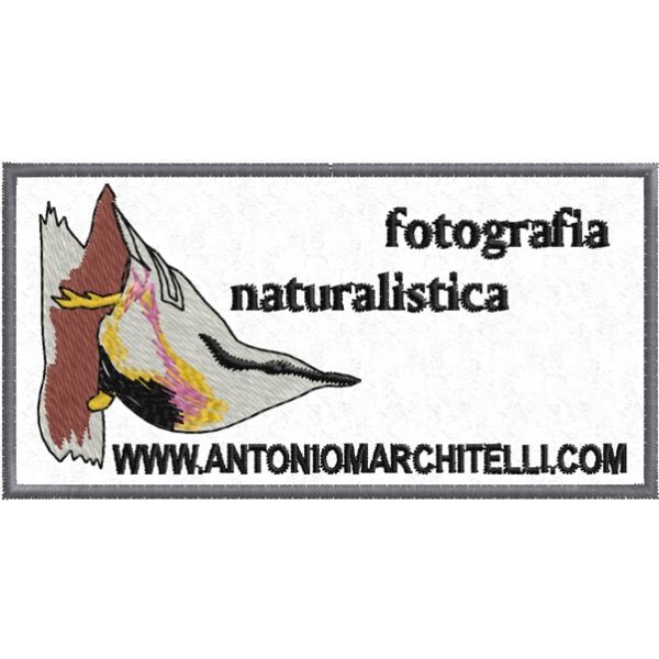 Patch Ricamato Fotografia naturalistica ANTONIO MARCHITELLI Cod.20161015_A