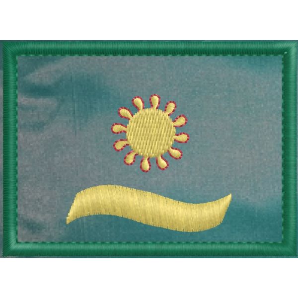 2017NOR04 Patch ricamato cm.7 x 5 con 1 onda e stella dorata bordata di rosso su fondo verde grado (Sostituto DIRETTORE)