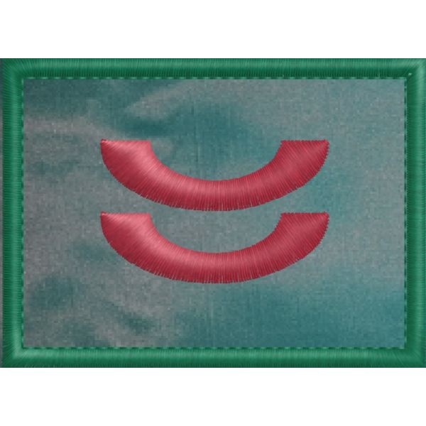 2017NOR10 Patch ricamato cm.7 x 5 con 2 onda rossa su fondo verde grado (Prima GUARDIA SCELTA)