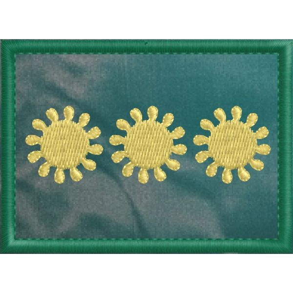 2017NR11 Patch ricamato cm.7 x 5 con 3 stelle A 12 PUNTE bordo dorato e fondo verde (grado direttore AGGIUNTO)