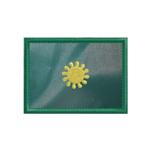 2017NOR12_B Patch ricamato cm.7 x 5 con 3 stelle A 12 PUNTE bordo dorato e fondo verde (Vice DIRETTORE aggiunto)