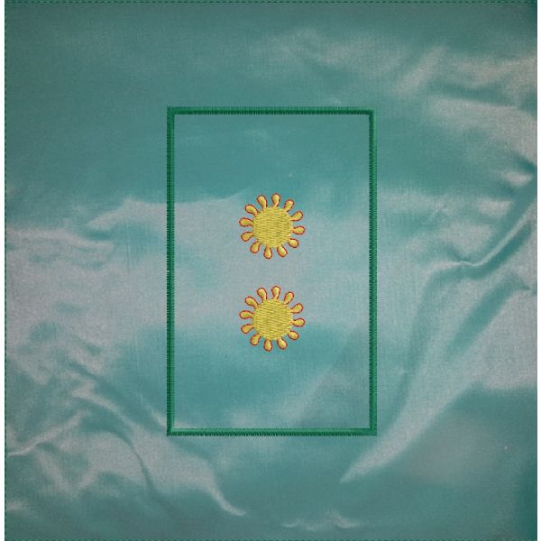 Mostrine tubolari da spalla Gradi DIRETTORE aggiunto Cod. 2017NOR22
