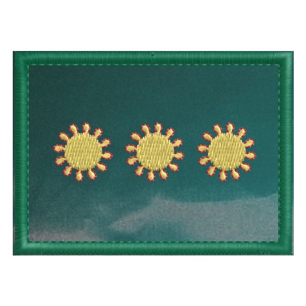 2017N0R01 Patch ricamato cm.7 x 5 con 3 stelle A 12 PUNTE bordo rosso e fondo verde (grado DIRETTORE)