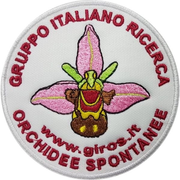 prova reale ricamata GIROS orchidee spontanee