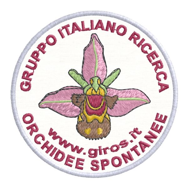 prova reale ricamata GIROS orchidee spontanee