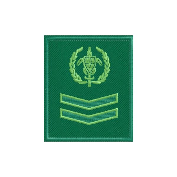 Patch quadrato ricamato logo FareAmbiente con 2 galloni VERDI cod.20200141_A
