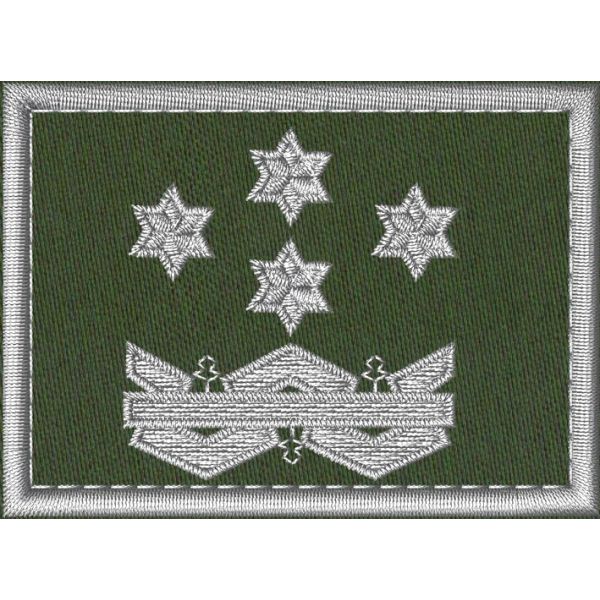 Patch Ricamata Corpo Ecoforestale Nazionale  base verde miltare, 4 stelle bordo argento