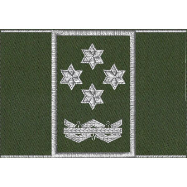foto su cartoncino Tubolare ricamato Corpo Ecoforestale Nazionale  base verde miltare, 4 stelle bordo argento  90 X 60 mm. 