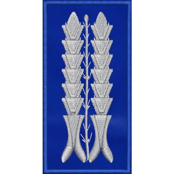 Patch Ricamata Alamari funzionari lunghezza cm 8 larghezza cm 4 su base blu 