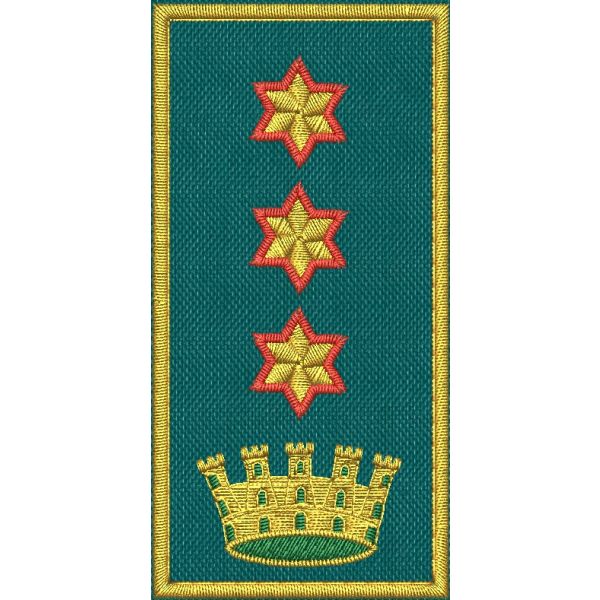 Patch Ricamata C.E.N (Dirigente Sup. Comandante colonnello I.S.)  3 stelle bordo rosso CORONA VERDE 