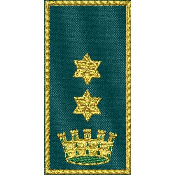 Patch Ricamata C.E.N (Vice Coord. settore Inc.Nazionale tenente colonnello ) 2 stelle dorate su base verde 