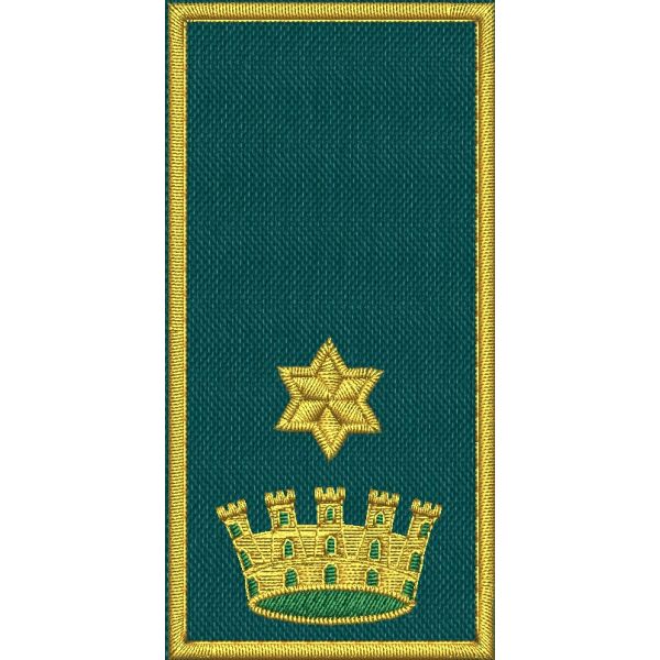 Patch Ricamata C.E.N (Referente incarico nazionale maggiore ) 1 stella dorata su base verde