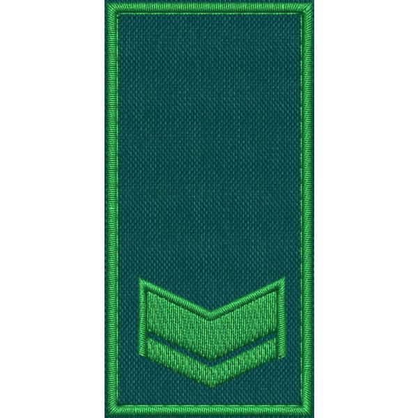 Patch Ricamata RUOLO GRADUATI E GUARDIE EFFETTIVE ( 1 GALLONE ) base verde ricamo in verde cm. 8 x 4