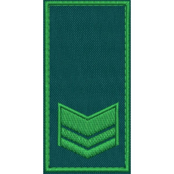 Patch Ricamata RUOLO GRADUATI E GUARDIE EFFETTIVE ( 2 GALLONI ) base verde ricamo in verde cm. 8 x 4 