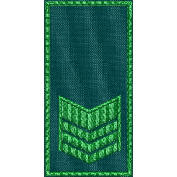 Patch Ricamata RUOLO GRADUATI E GUARDIE EFFETTIVE ( 2 GALLONI ) base verde ricamo in verde cm. 8 x 4 