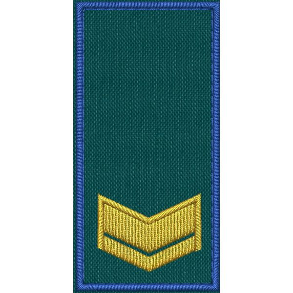 Patch Ricamata RUOLO FUNZIONARI COLLABORATORI ( 1 GALLONE ) base verde ricamo in giallo doratoe bordo Blu cm. 8 x 4