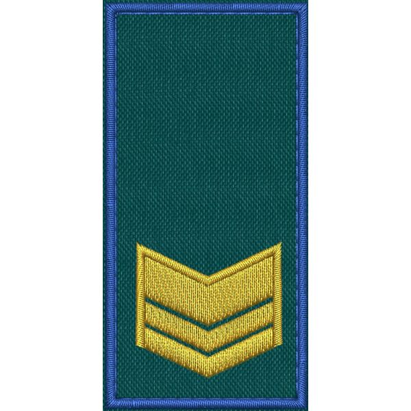 Patch Ricamata RUOLO FUNZIONARI COLLABORATORI ( 2 GALLONI ) base verde ricamo in giallo dorato bordo Blu