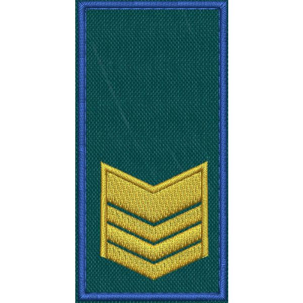 Patch Ricamata RUOLO FUNZIONARI COLLABORATORI ( 3 GALLONI ) base verde ricamo in giallo dorato bordo Blu