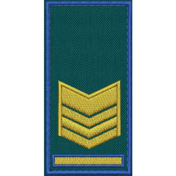 Patch Ricamata RUOLO FUNZIONARI COORDINATORI ( SEGRETARIO DI STAZIONE ) base verde ricamo in giallo dorato bordo Blu