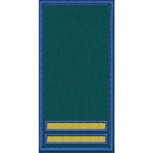 Patch Ricamata RUOLO FUNZIONARI COORDINATORI ( VICE CAPO STAZIONE ) base verde ricamo in giallo dorato bordo Blu