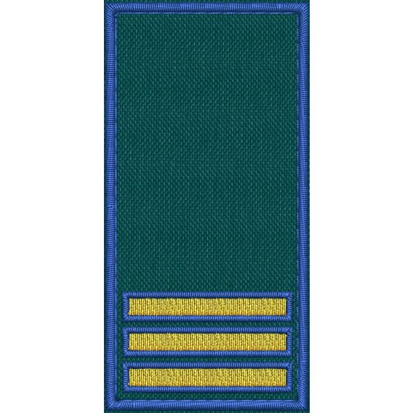 Patch Ricamata RUOLO FUNZIONARI COORDINATORI (-CAPO STAZIONE  ) base verde ricamo in giallo dorato bordo Blu cm. 8 x 4