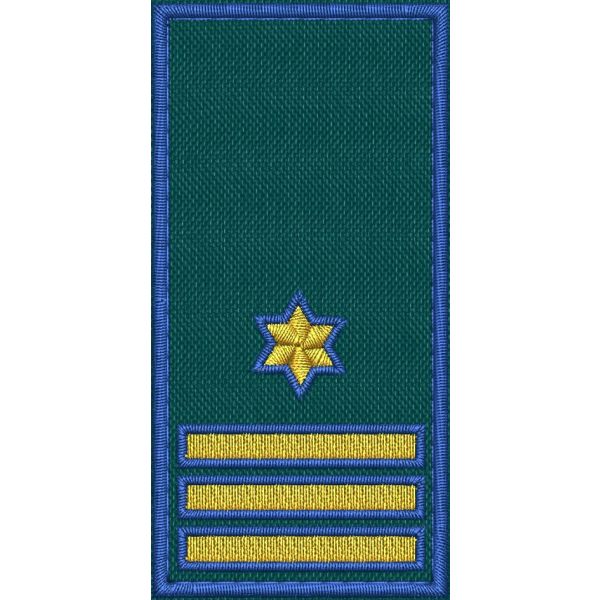 Patch Ricamata RUOLO FUNZIONARI COORDINATORI (-CAPO STAZIONE  ) base verde ricamo in giallo dorato bordo Blu cm. 8 x 4