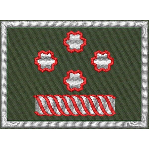 Patch Ricamata grado ( Presidente Nazionale Ruolo D18 ) base verde  cm. 7 x 4 